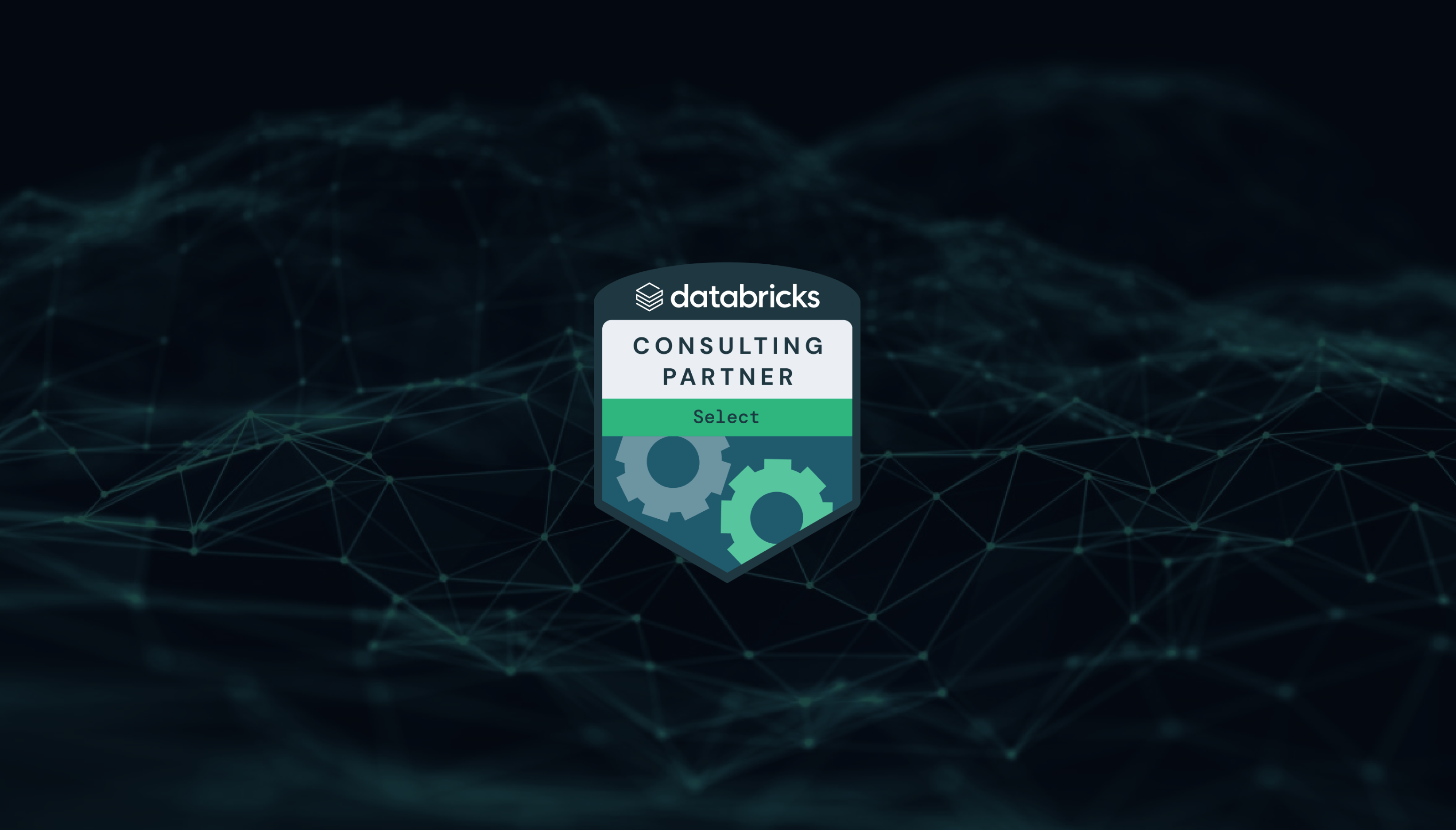 Databricks_ Select Partner